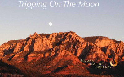 Tripping On The Moon