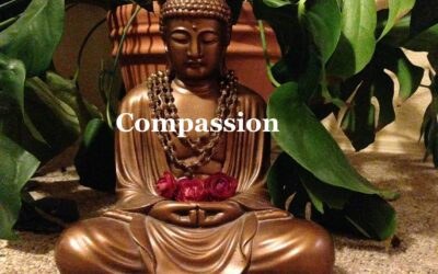 Compassion
