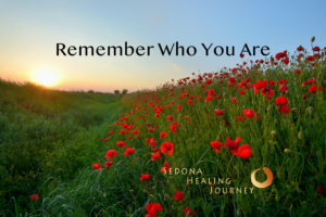 Field of red flowers with title Remember Who You Are